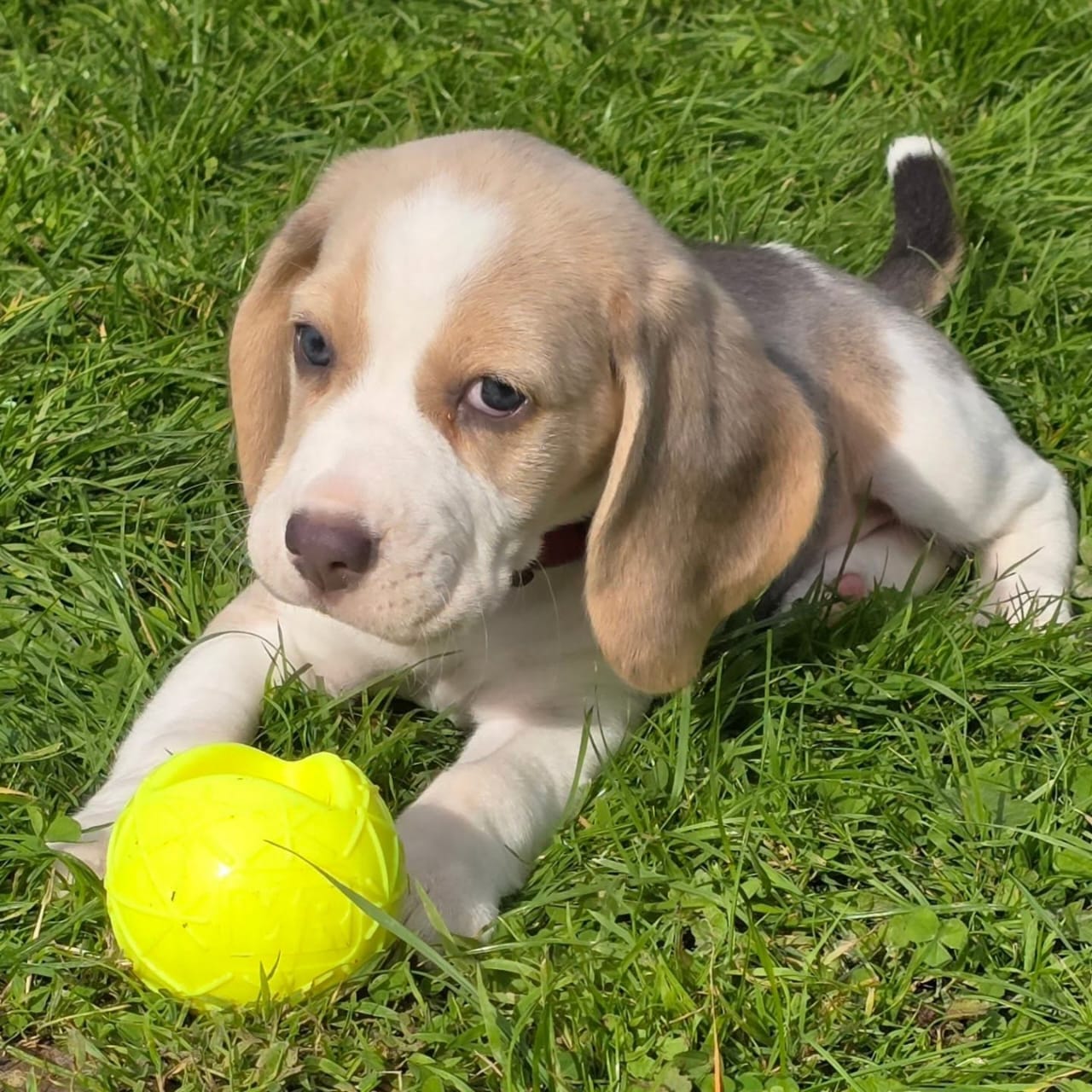 WhatsApp Image 2025-01-13 at 00.35.56