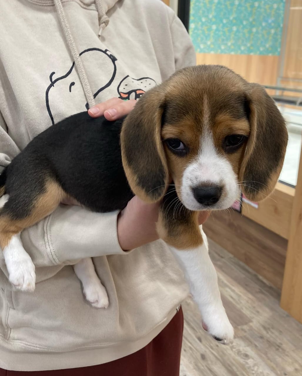 WhatsApp Image 2025-01-13 at 00.43.23