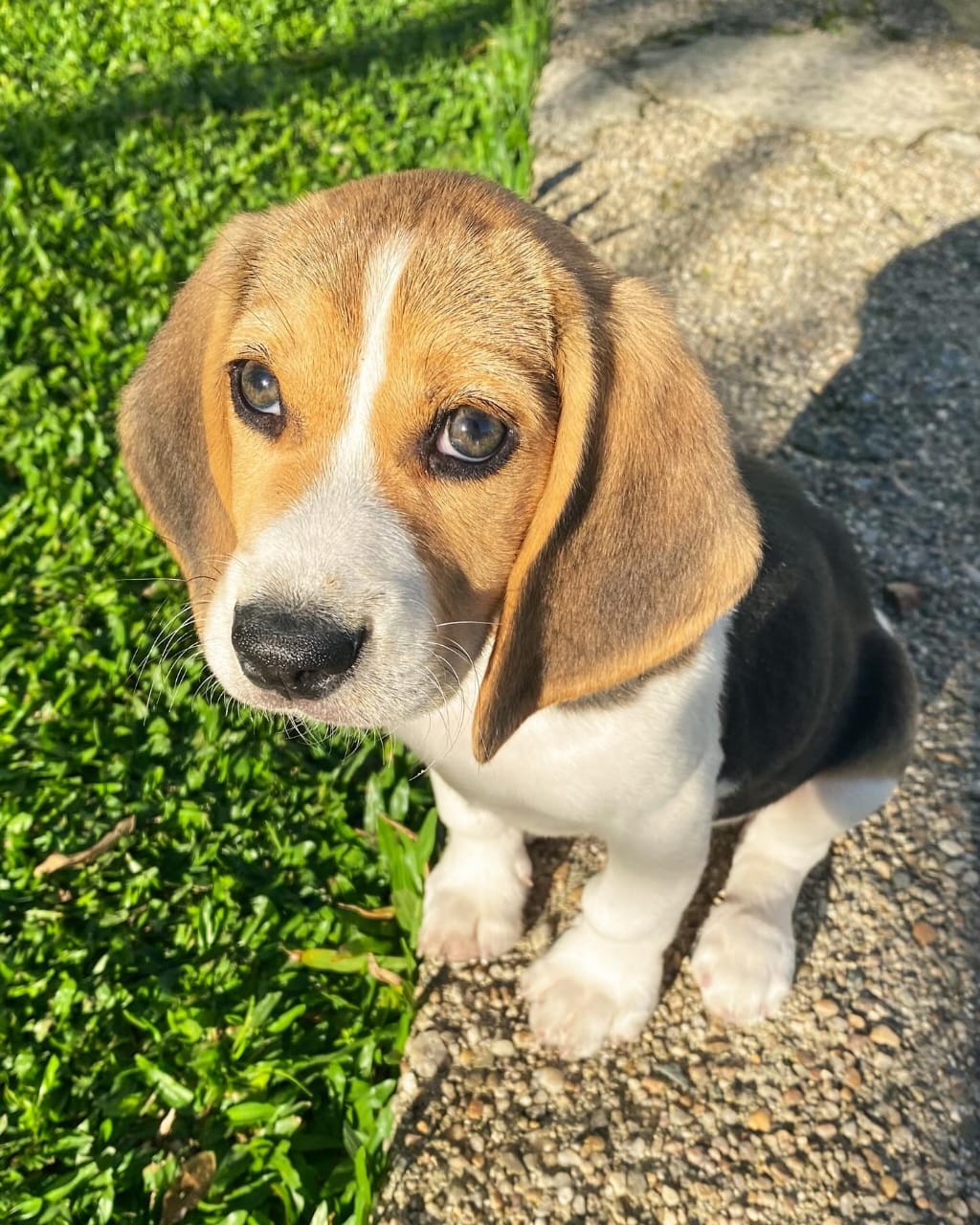 WhatsApp Image 2025-01-13 at 00.51.55 (1)