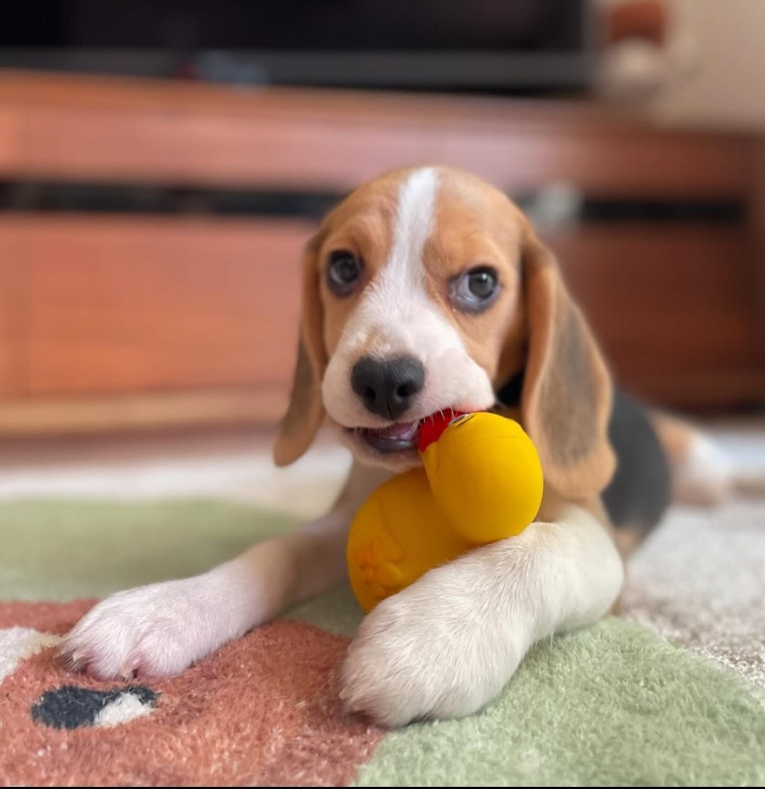 WhatsApp Image 2025-01-13 at 00.53.12