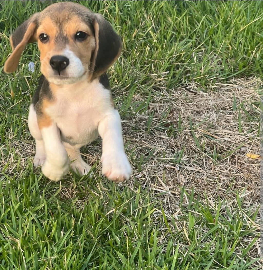 WhatsApp Image 2025-01-13 at 00.55.02